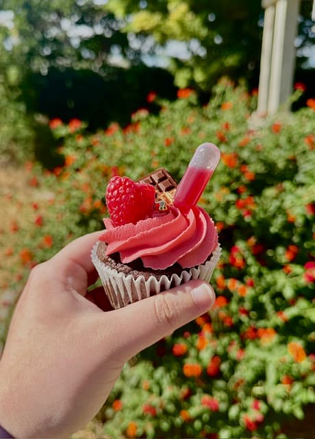 Chocolate Raspberry Cupcakes